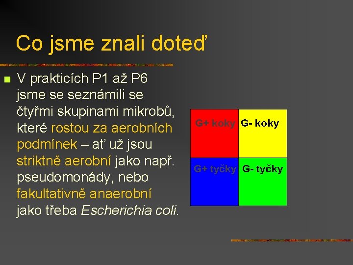 Co jsme znali doteď n V prakticích P 1 až P 6 jsme se