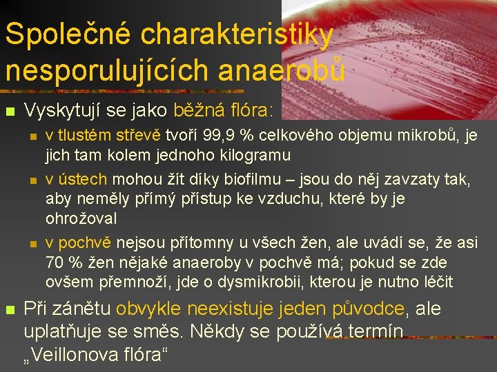 Společné charakteristiky nesporulujících anaerobů n Vyskytují se jako běžná flóra: n n v tlustém