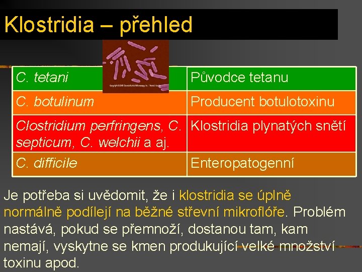 Klostridia – přehled C. tetani Původce tetanu C. botulinum Producent botulotoxinu Clostridium perfringens, C.