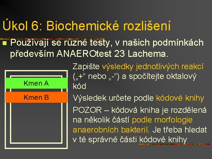 Úkol 6: Biochemické rozlišení n Používají se různé testy, v našich podmínkách především ANAEROtest