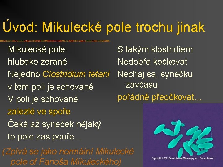 Úvod: Mikulecké pole trochu jinak Mikulecké pole hluboko zorané Nejedno Clostridium tetani v tom