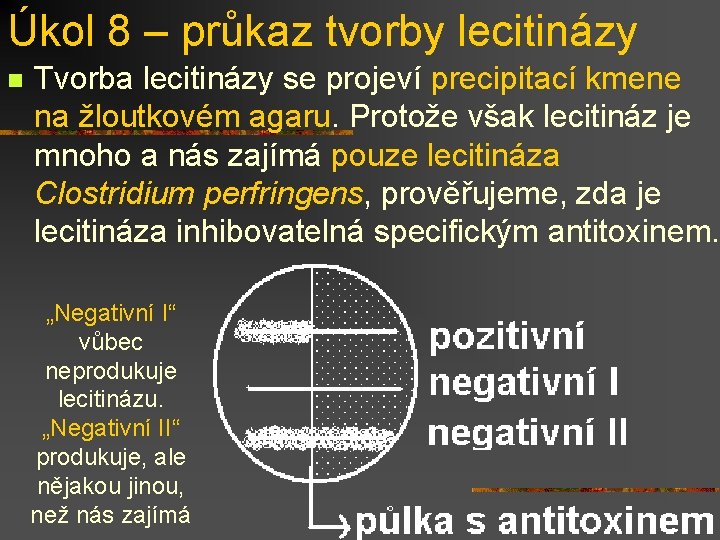 Úkol 8 – průkaz tvorby lecitinázy n Tvorba lecitinázy se projeví precipitací kmene na