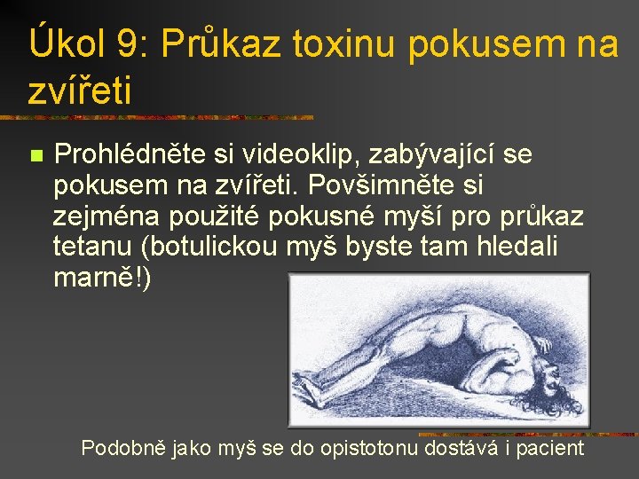 Úkol 9: Průkaz toxinu pokusem na zvířeti n Prohlédněte si videoklip, zabývající se pokusem