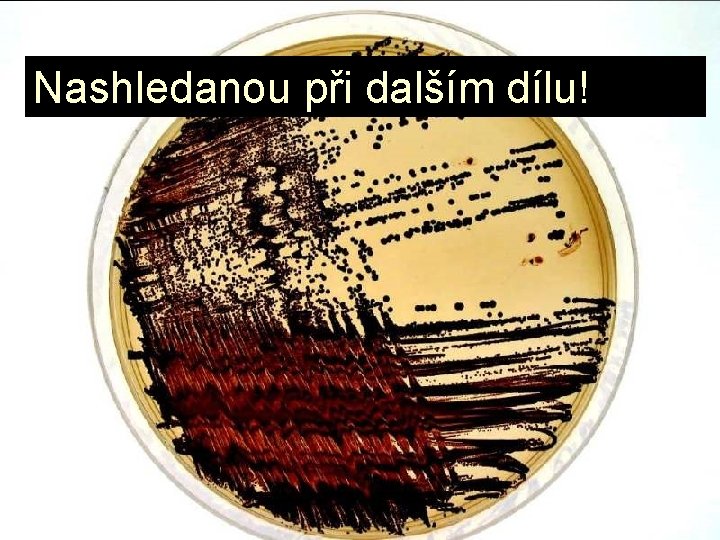 Nashledanou při dalším dílu! 