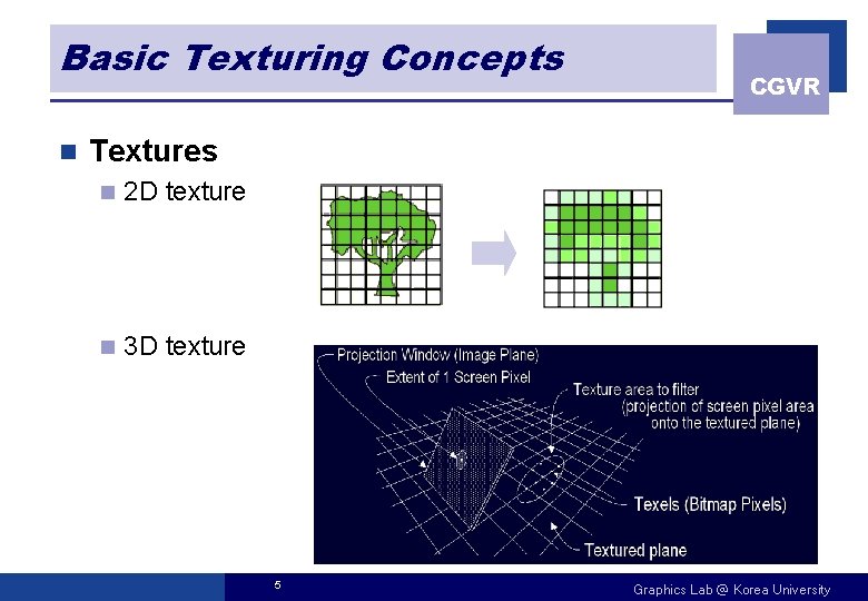 Basic Texturing Concepts n CGVR Textures n 2 D texture n 3 D texture