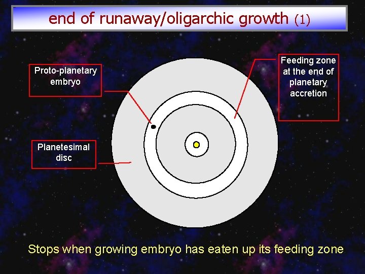 end of runaway/oligarchic growth (1) Proto-planetary embryo Feeding zone at the end of planetary