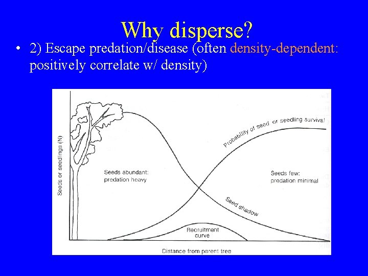 Why disperse? • 2) Escape predation/disease (often density-dependent: positively correlate w/ density) 