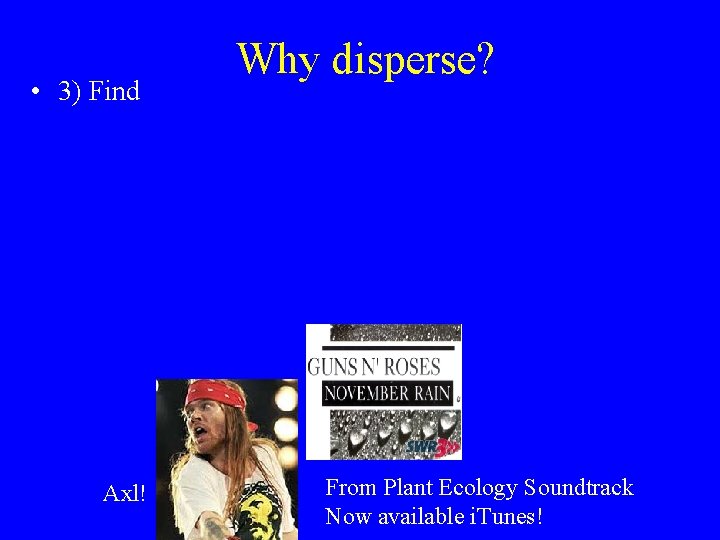  • 3) Find Axl! Why disperse? From Plant Ecology Soundtrack Now available i.