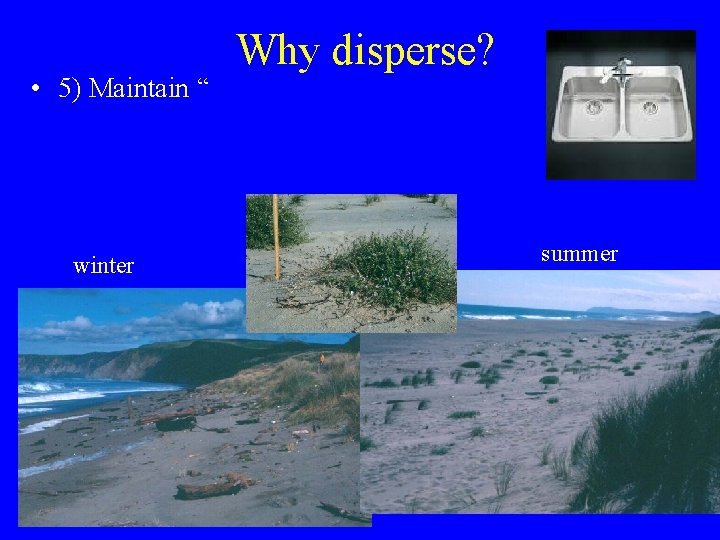  • 5) Maintain “ winter Why disperse? summer 