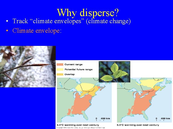 Why disperse? • Track “climate envelopes” (climate change) • Climate envelope: 