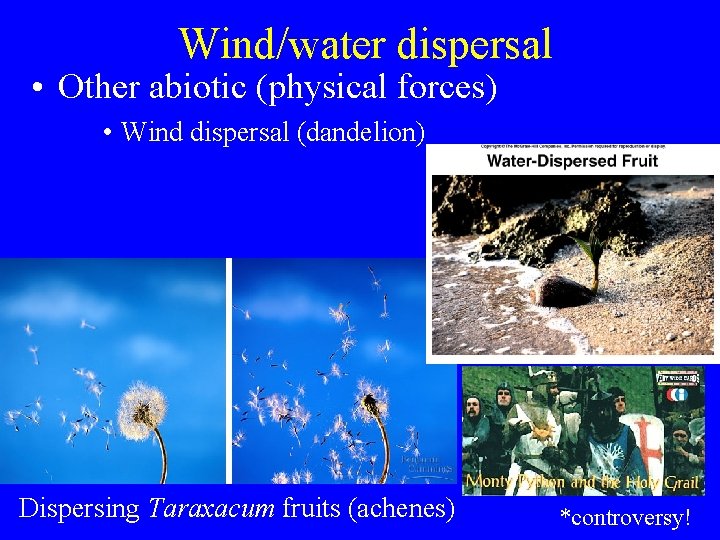 Wind/water dispersal • Other abiotic (physical forces) • Wind dispersal (dandelion) Dispersing Taraxacum fruits