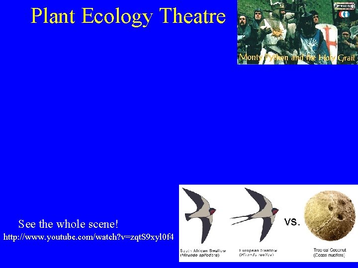 Plant Ecology Theatre See the whole scene! http: //www. youtube. com/watch? v=zqt. S 9