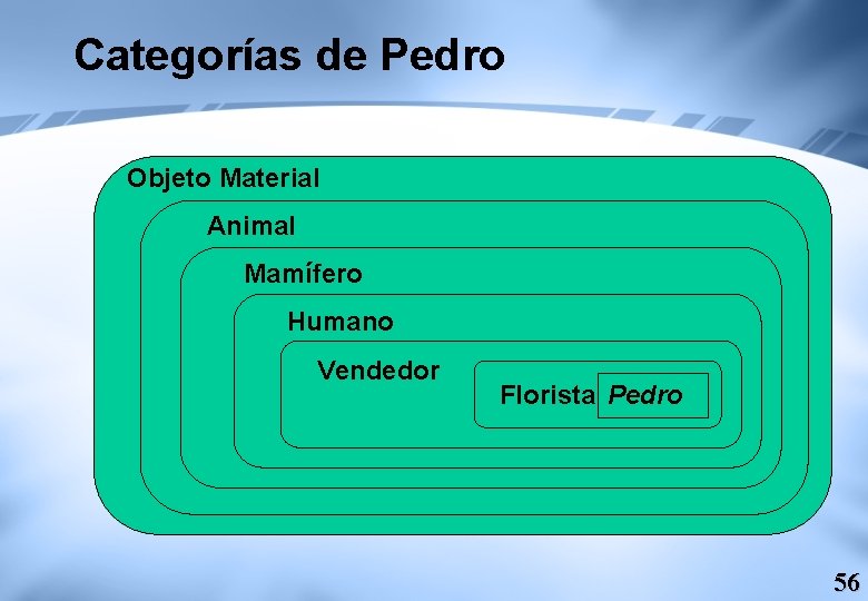 Categorías de Pedro Objeto Material Animal Mamífero Humano Vendedor Florista Pedro 56 