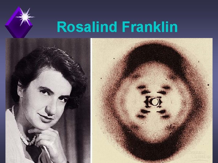 Rosalind Franklin 