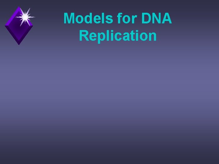 Models for DNA Replication 