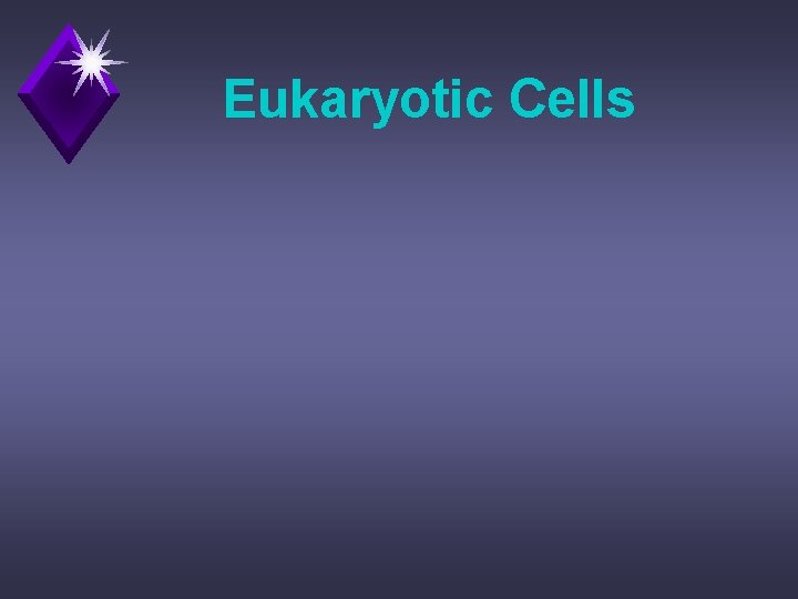 Eukaryotic Cells 