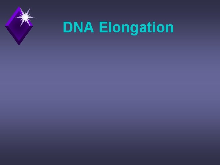 DNA Elongation 