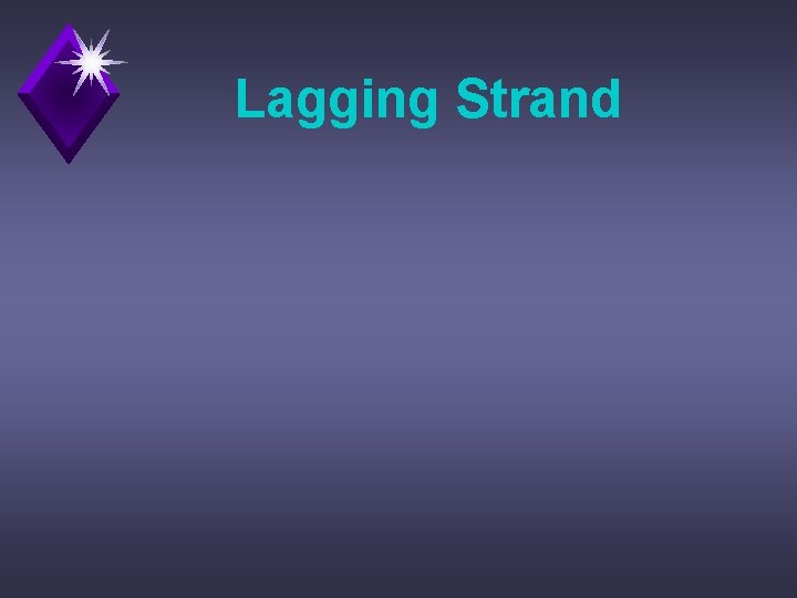 Lagging Strand 