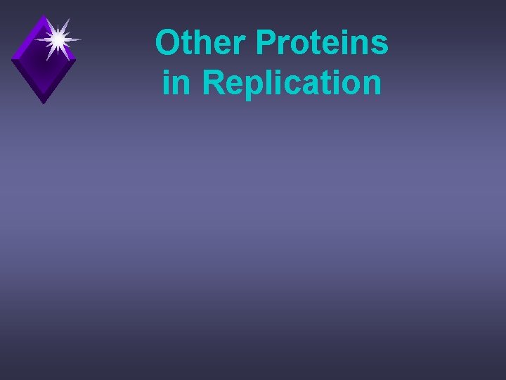 Other Proteins in Replication 