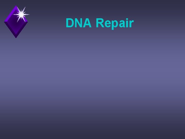 DNA Repair 