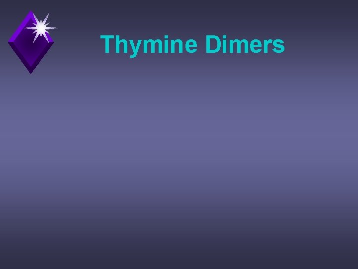 Thymine Dimers 