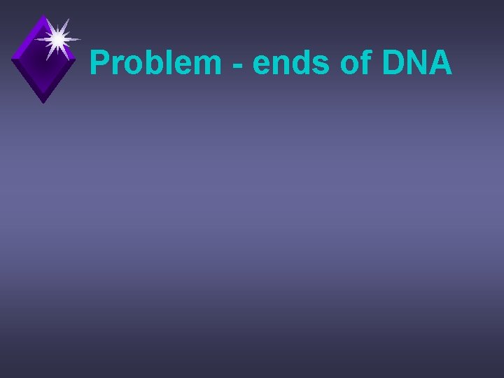Problem - ends of DNA 