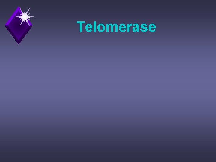 Telomerase 