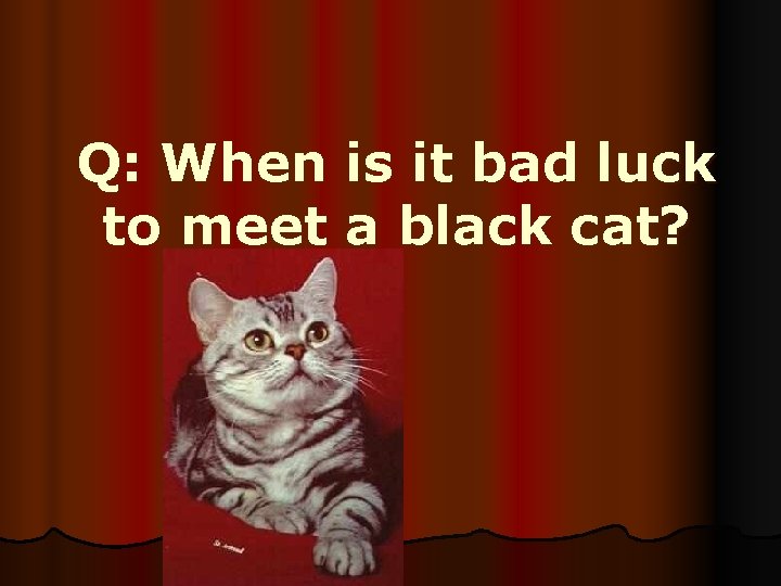 Q: When is it bad luck to meet a black cat? 