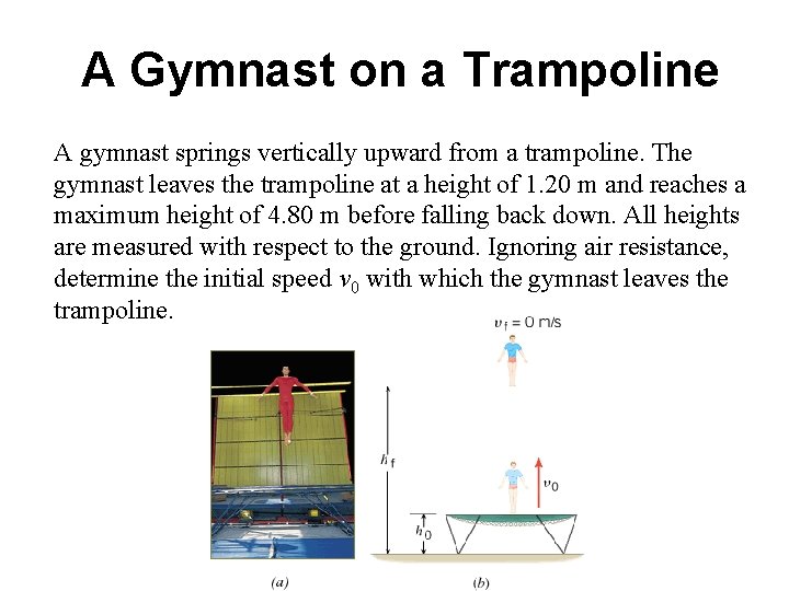 A Gymnast on a Trampoline A gymnast springs vertically upward from a trampoline. The