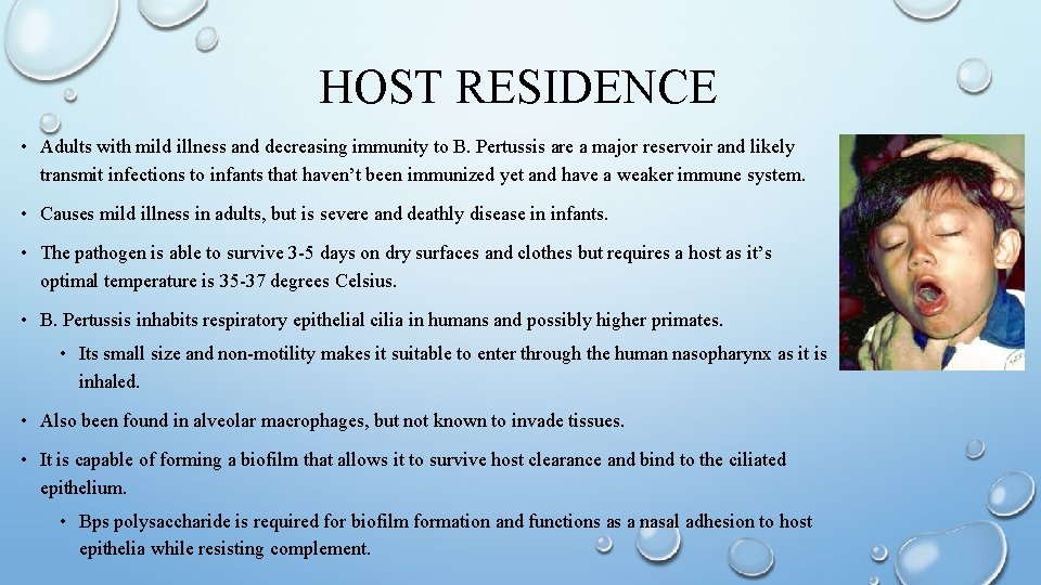 HOST RESIDENCE • Adults with mild illness and decreasing immunity to B. Pertussis are