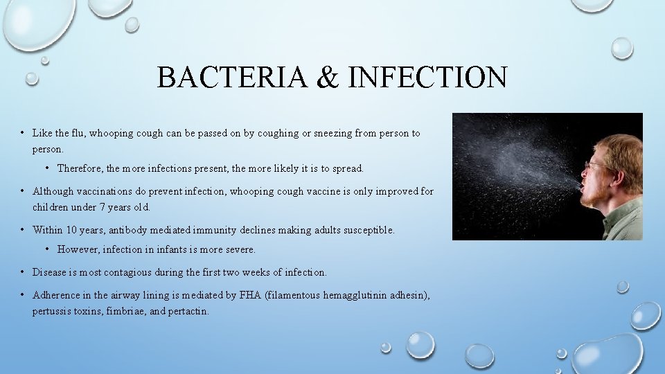 BACTERIA & INFECTION • Like the flu, whooping cough can be passed on by