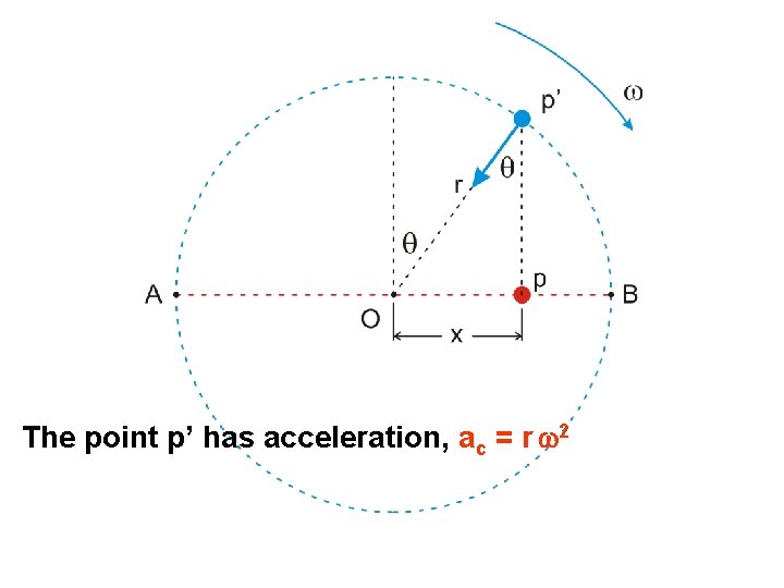 The point p’ has acceleration, ac = r w 2 