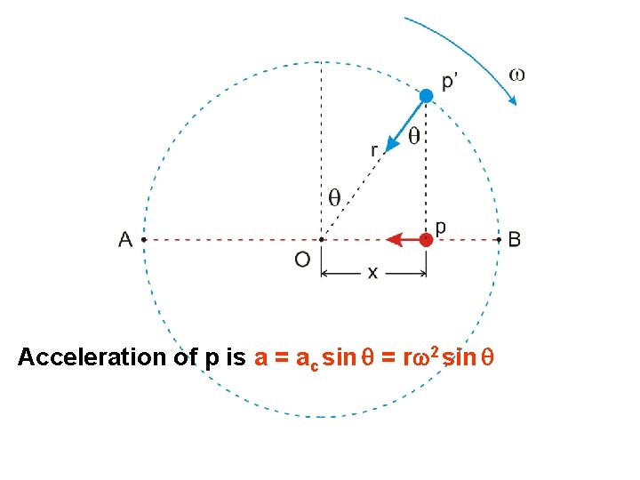 Acceleration of p is a = ac sin q = rw 2 sin q