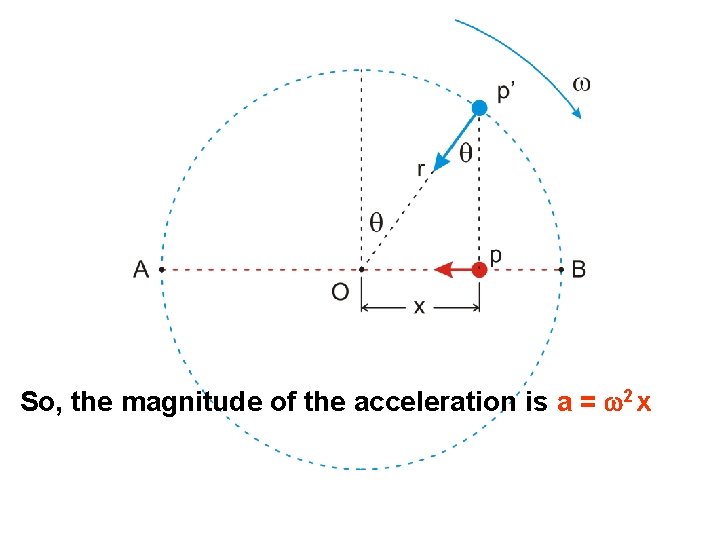 So, the magnitude of the acceleration is a = w 2 x 