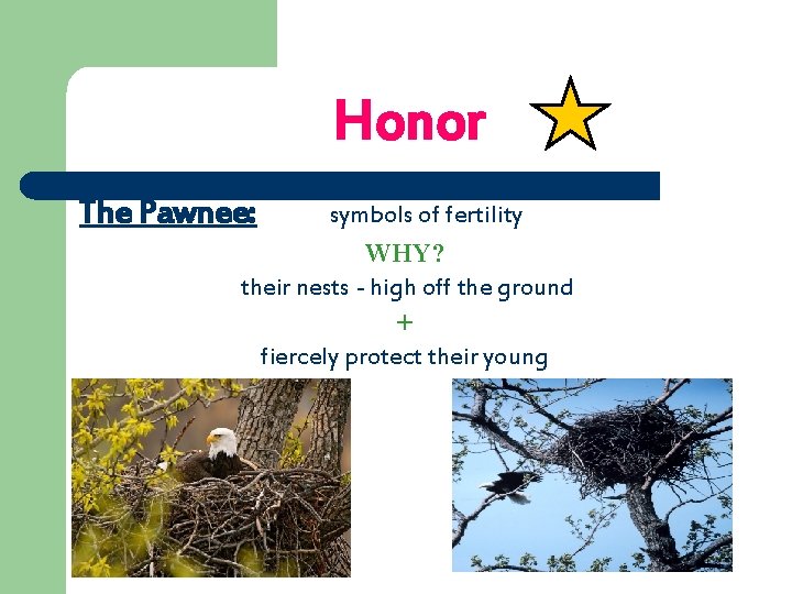 Honor The Pawnee: symbols of fertility WHY? their nests - high off the ground