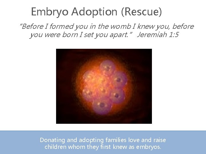 Embryo Adoption (Rescue) “Before I formed you in the womb I knew you, before