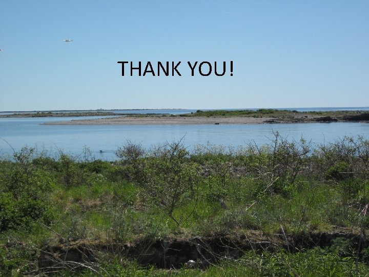 THANK YOU! THANK YOU!