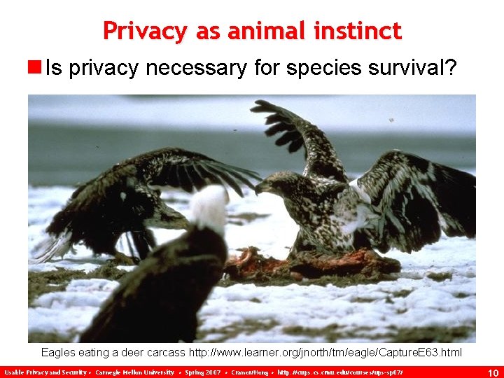 Privacy as animal instinct n Is privacy necessary for species survival? Eagles eating a