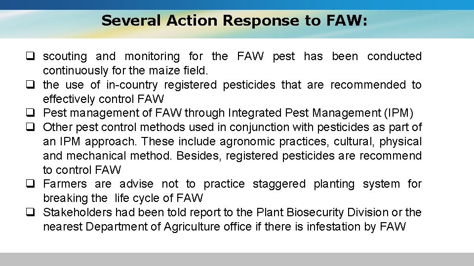 Several Action Response to FAW: q scouting and monitoring for the FAW pest has