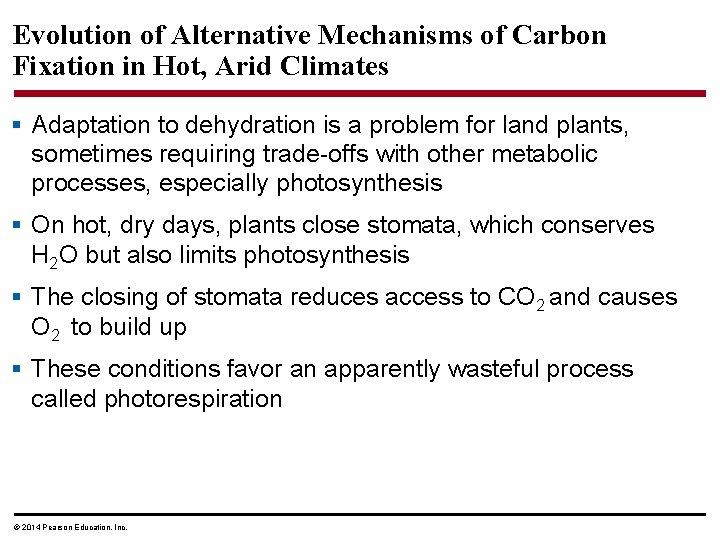 Evolution of Alternative Mechanisms of Carbon Fixation in Hot, Arid Climates § Adaptation to