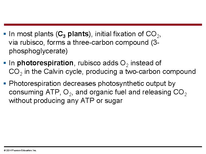 § In most plants (C 3 plants), initial fixation of CO 2, via rubisco,