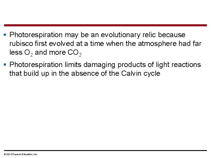 § Photorespiration may be an evolutionary relic because rubisco first evolved at a time