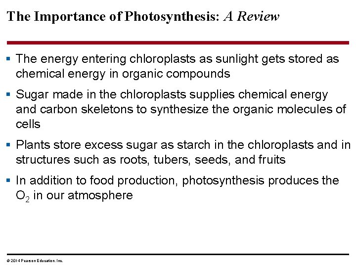 The Importance of Photosynthesis: A Review § The energy entering chloroplasts as sunlight gets