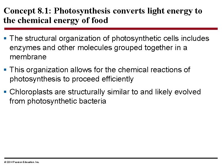 Concept 8. 1: Photosynthesis converts light energy to the chemical energy of food §