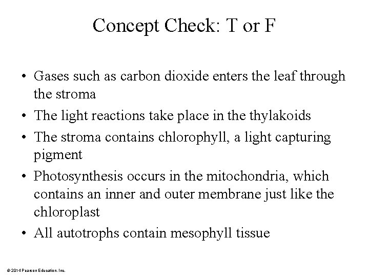 Concept Check: T or F • Gases such as carbon dioxide enters the leaf