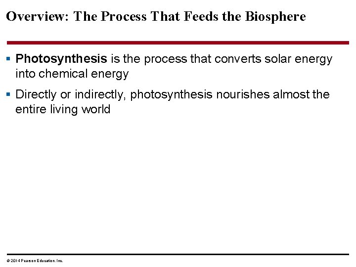 Overview: The Process That Feeds the Biosphere § Photosynthesis is the process that converts