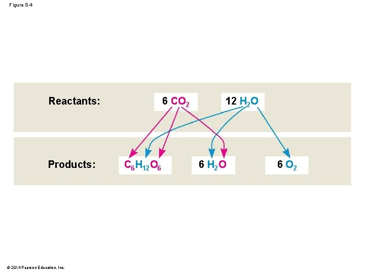 Figure 8. 4 Reactants: Products: © 2014 Pearson Education, Inc. 6 CO 2 C