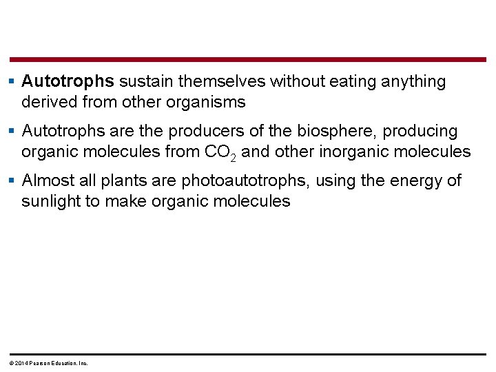 § Autotrophs sustain themselves without eating anything derived from other organisms § Autotrophs are