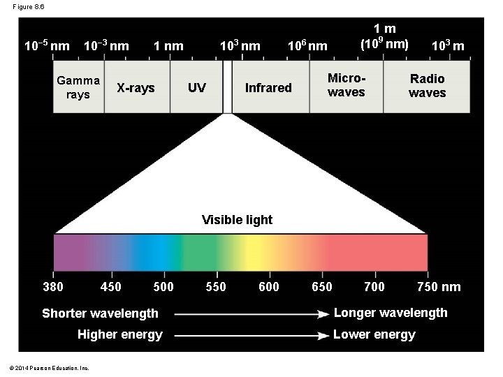 Figure 8. 6 10− 5 nm 10− 3 nm Gamma rays 103 nm 1