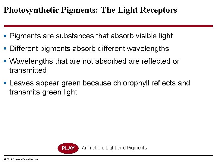 Photosynthetic Pigments: The Light Receptors § Pigments are substances that absorb visible light §
